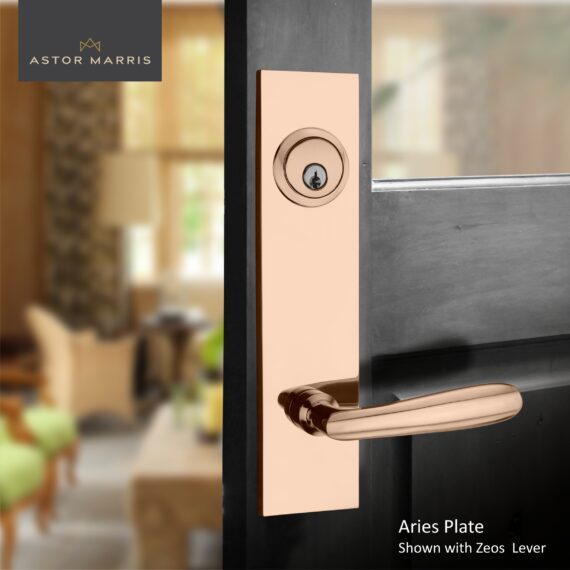 Aries Tubular Entrance Set In Polished Copper