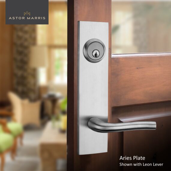 Aries Tubular Entrance Set In Brushed Chrome